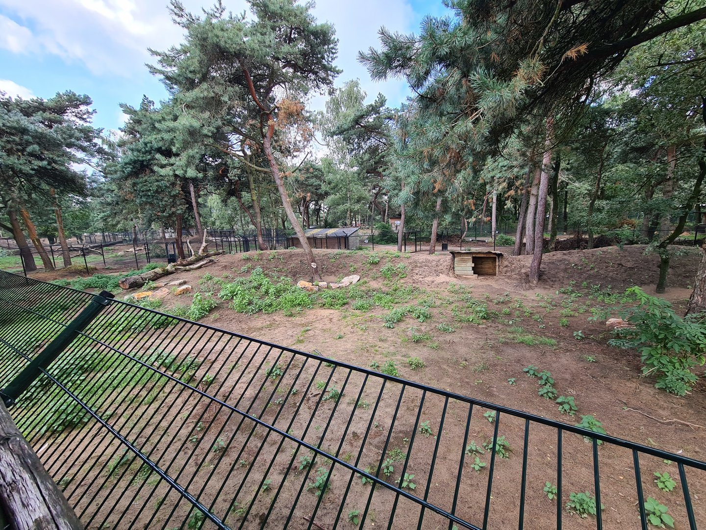 New Cheetah enclosure