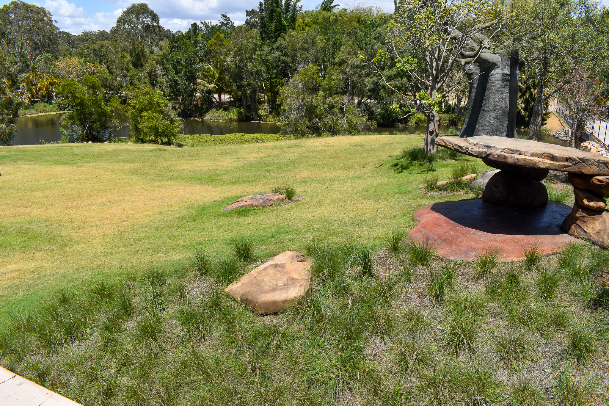 New Cheetah Grasslands - main exhibit