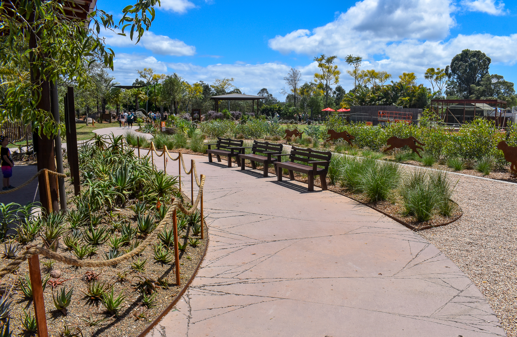 New Cheetah Grasslands - Main Pathway