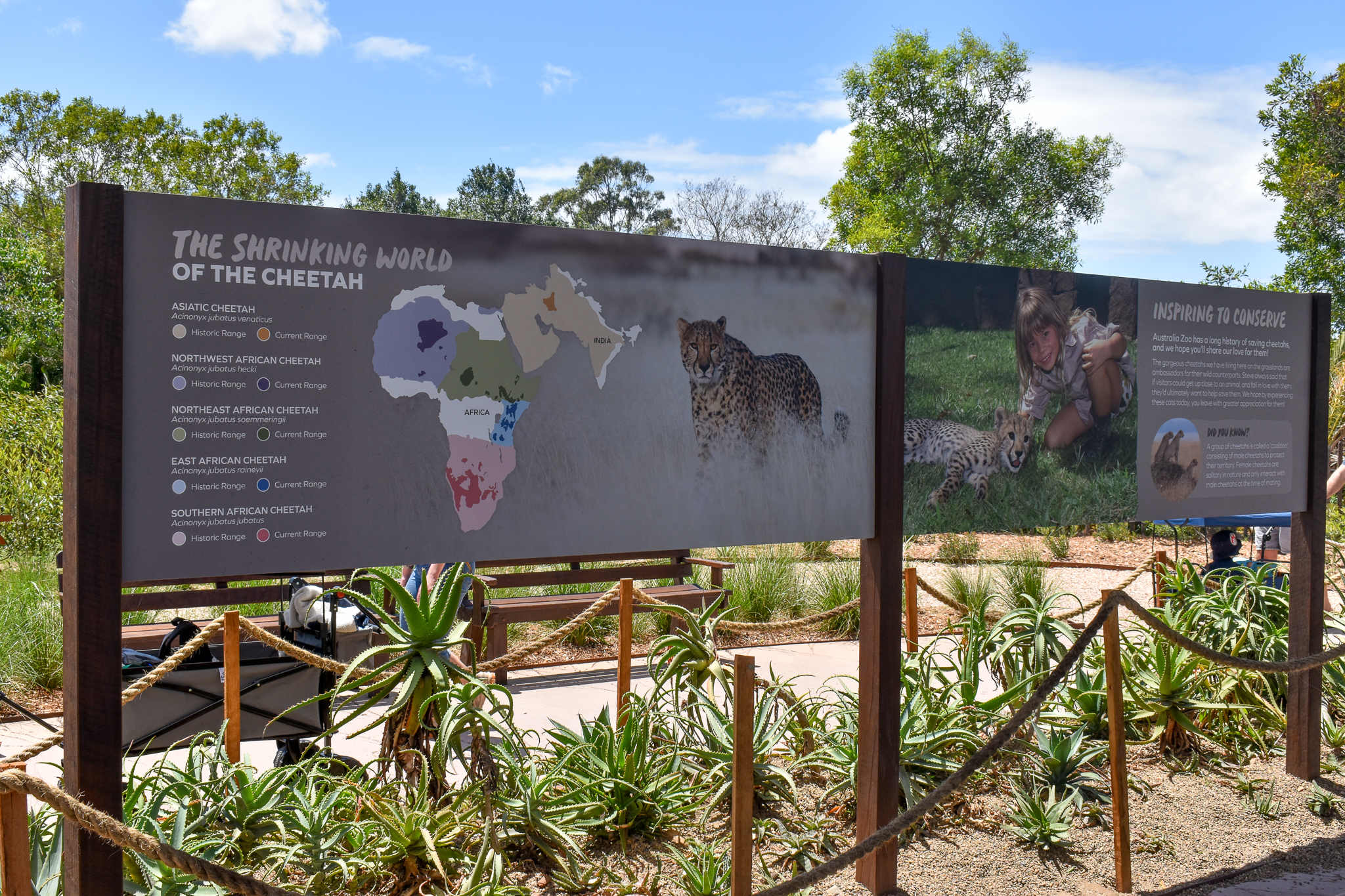 New Cheetah Grasslands - new signage