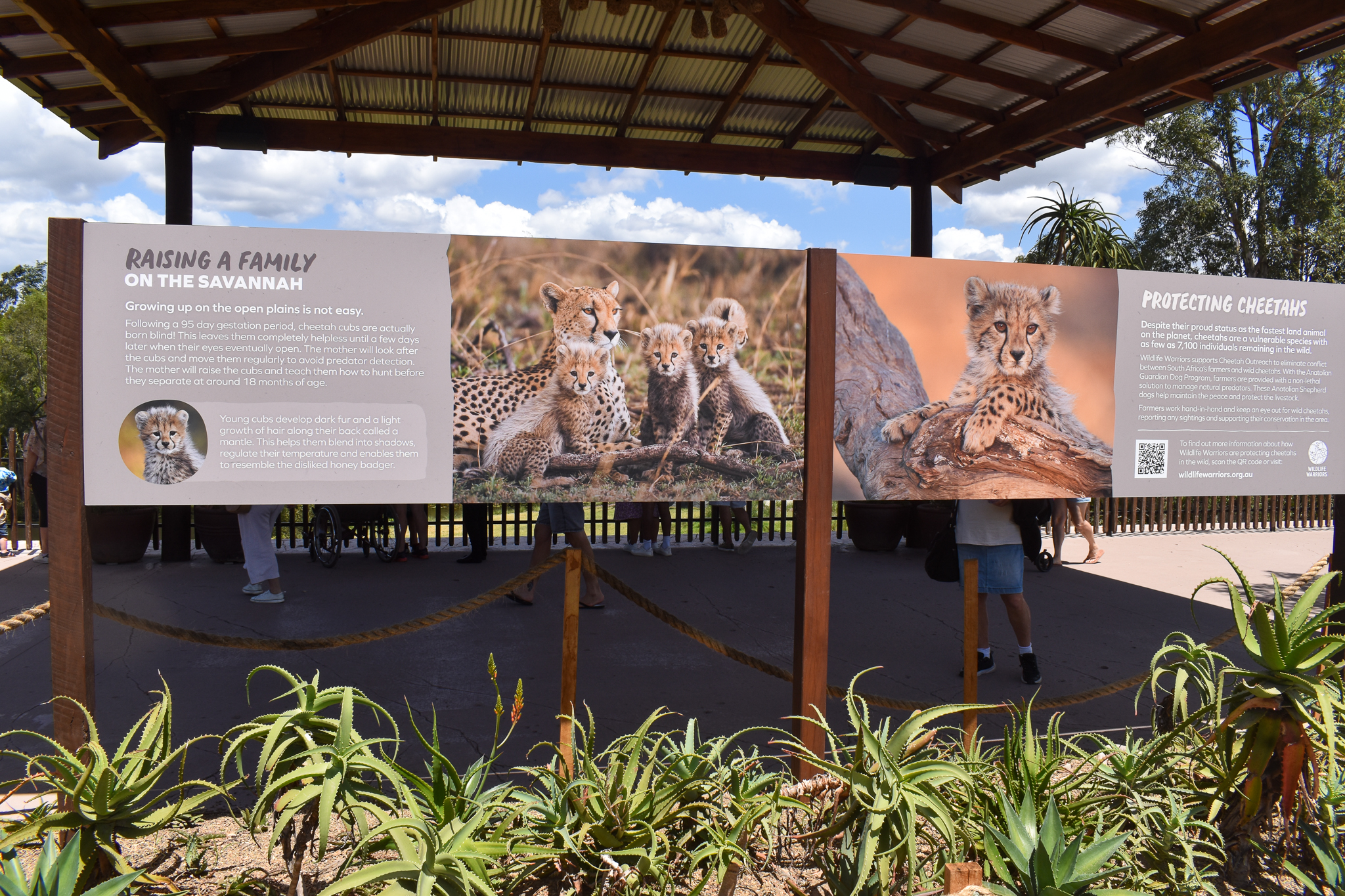 New Cheetah Grasslands - signage