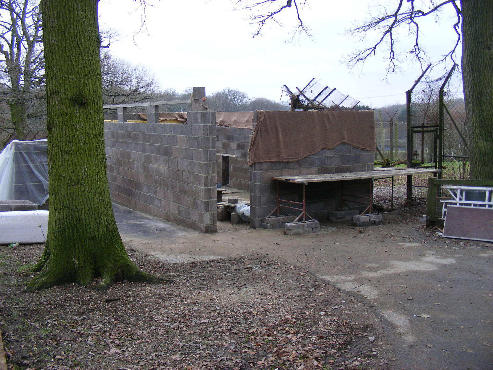 New cheetah housing at Marwell Wildlife, 23 January 2011