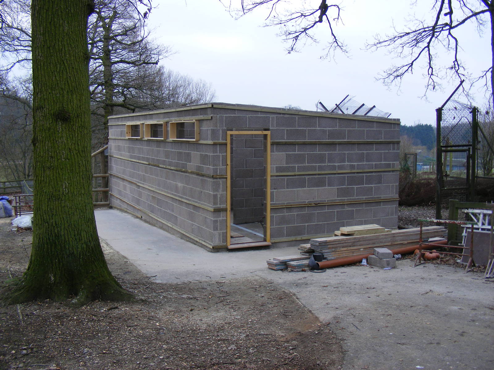 New cheetah housing at Marwell Wildlife, 29 January 2011