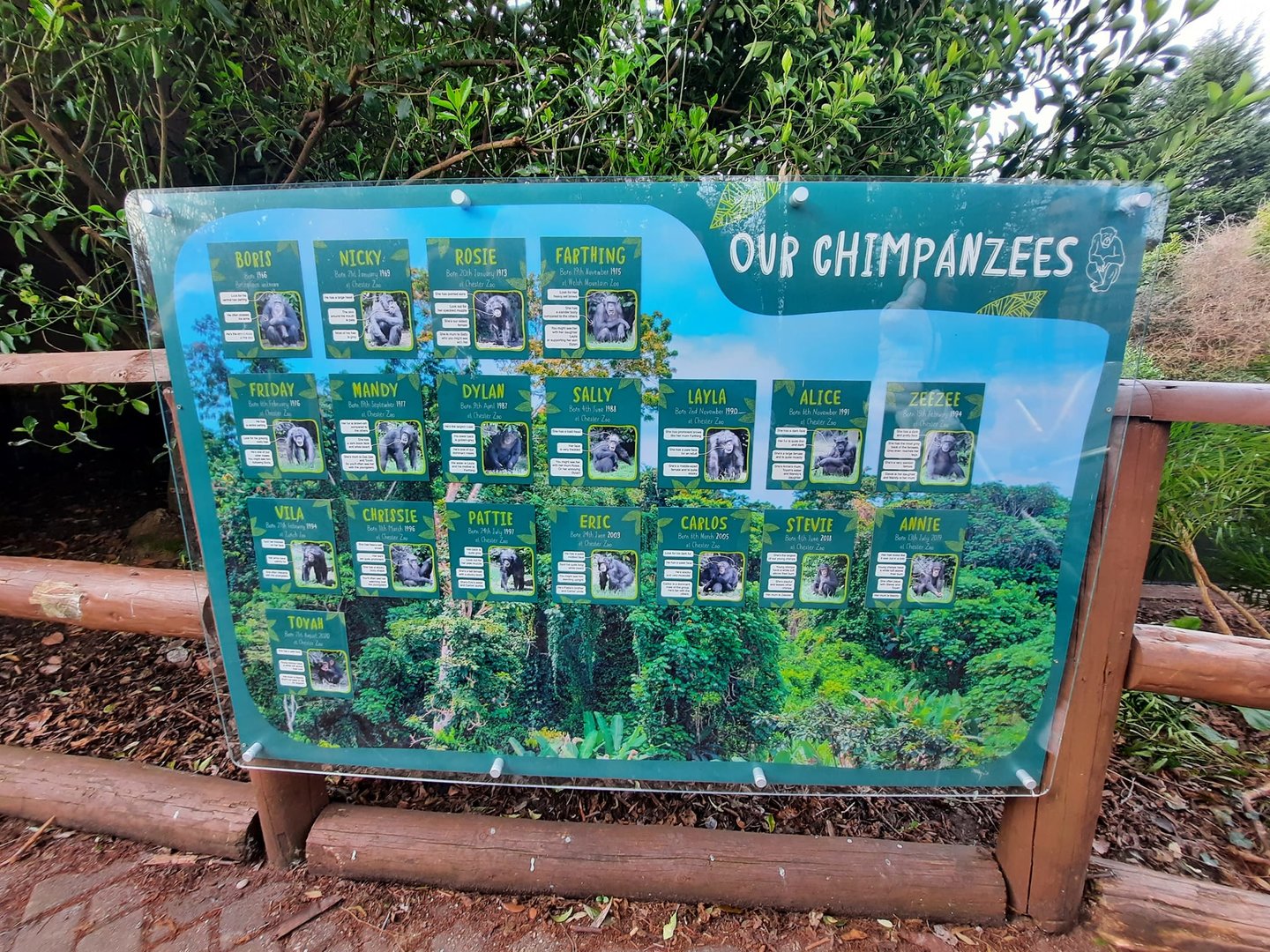 New Chester Chimpanzee Name Board