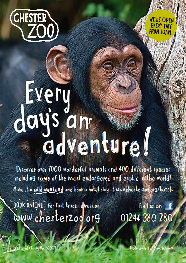 New Chester Zoo tourist poster
