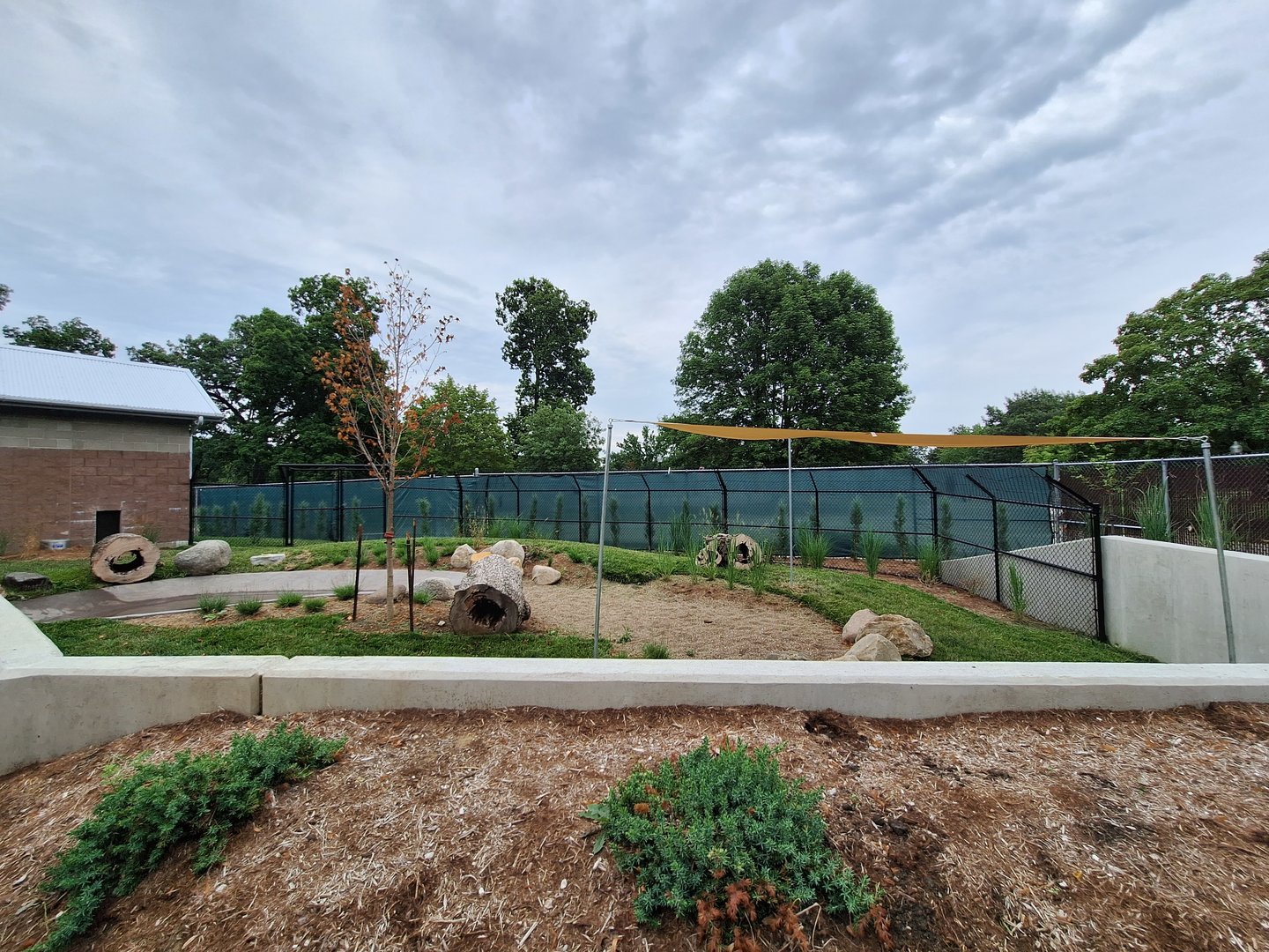 New Chilean Pudu Exhibit