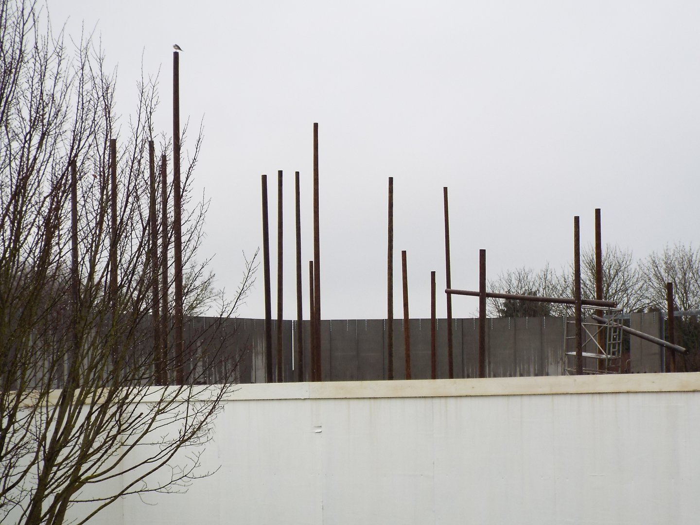 NEW Chimp Eden climbing structures