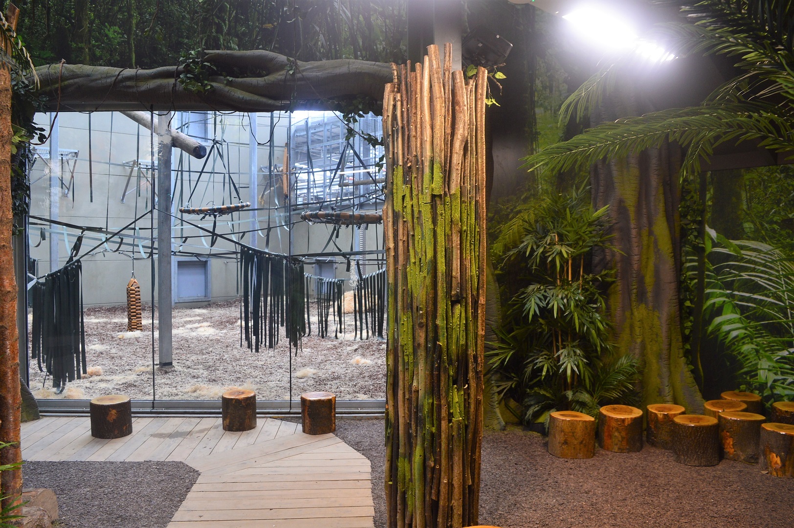New chimp enclosure indoor viewing