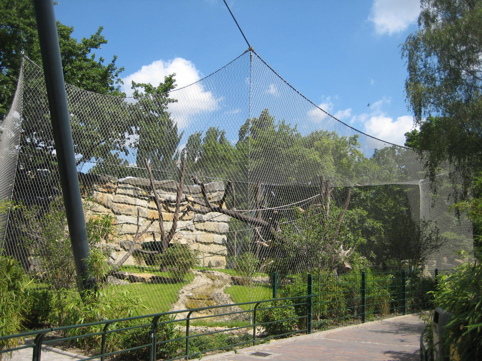 New Chimp Exhibit