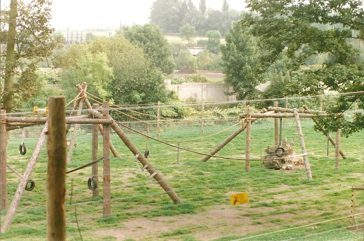 New Chimpanzee exhibit 19th September 1998