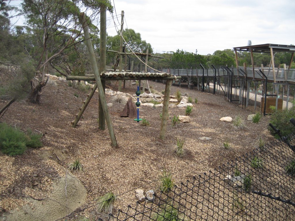 New Chimpanzee exhibit.