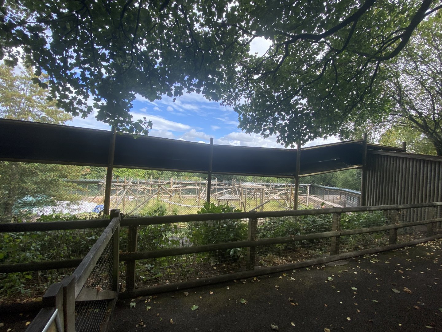 New chimpanzee fencing