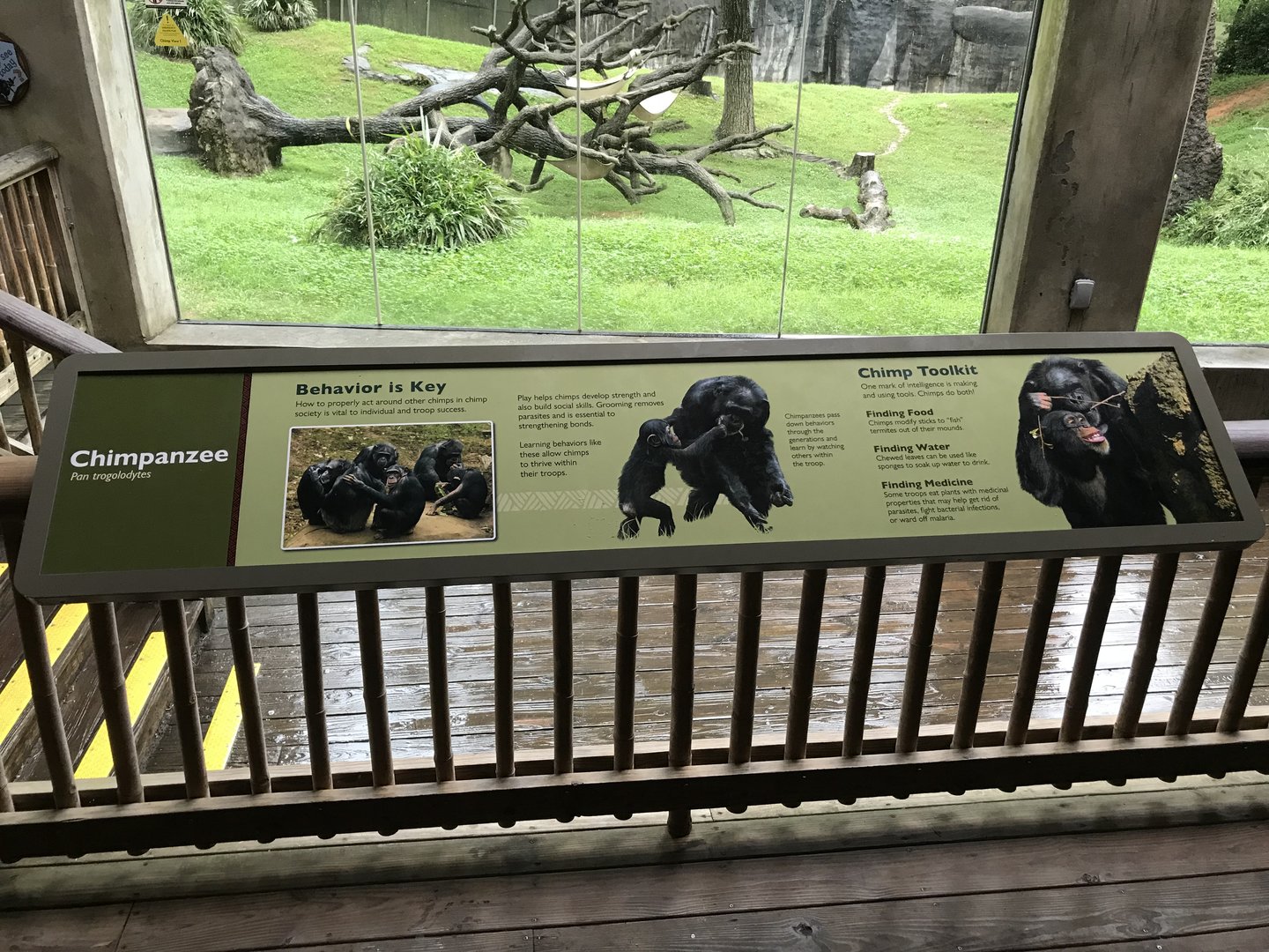 New Chimpanzee Signage