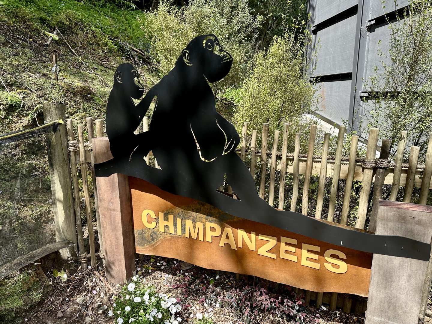 New Chimpanzee Signage