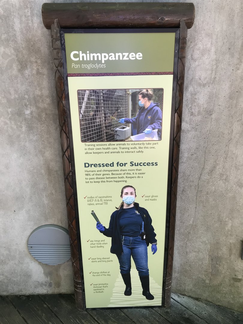 New Chimpanzee Training Interpretive Sign