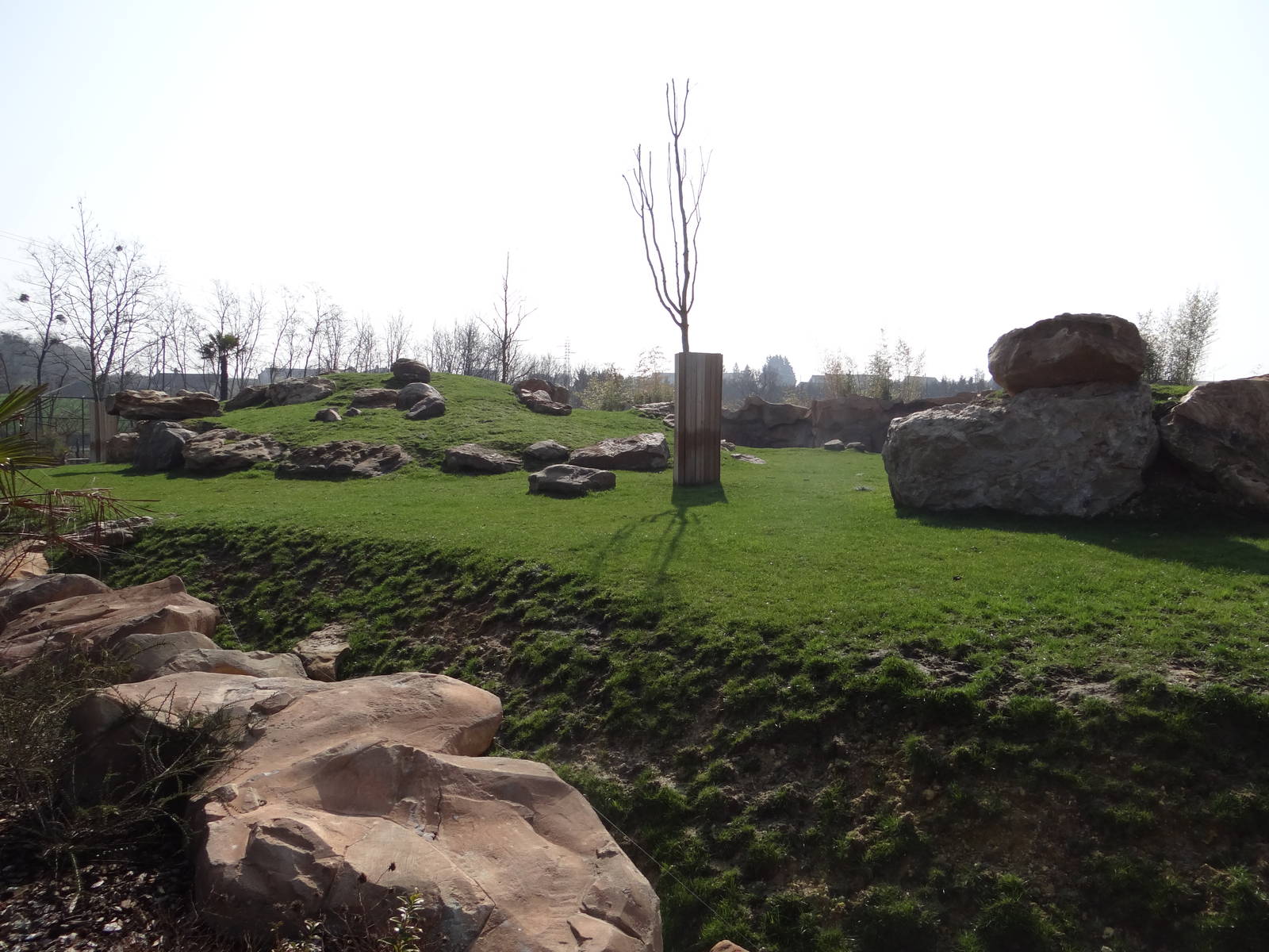 New chinese area - Mishmi Takin exhibit