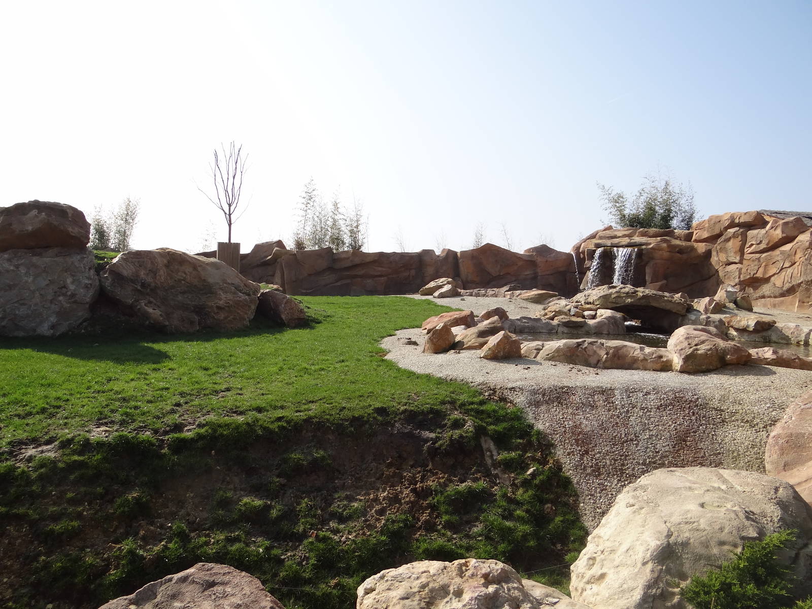 New chinese area - Mishmi Takin exhibit