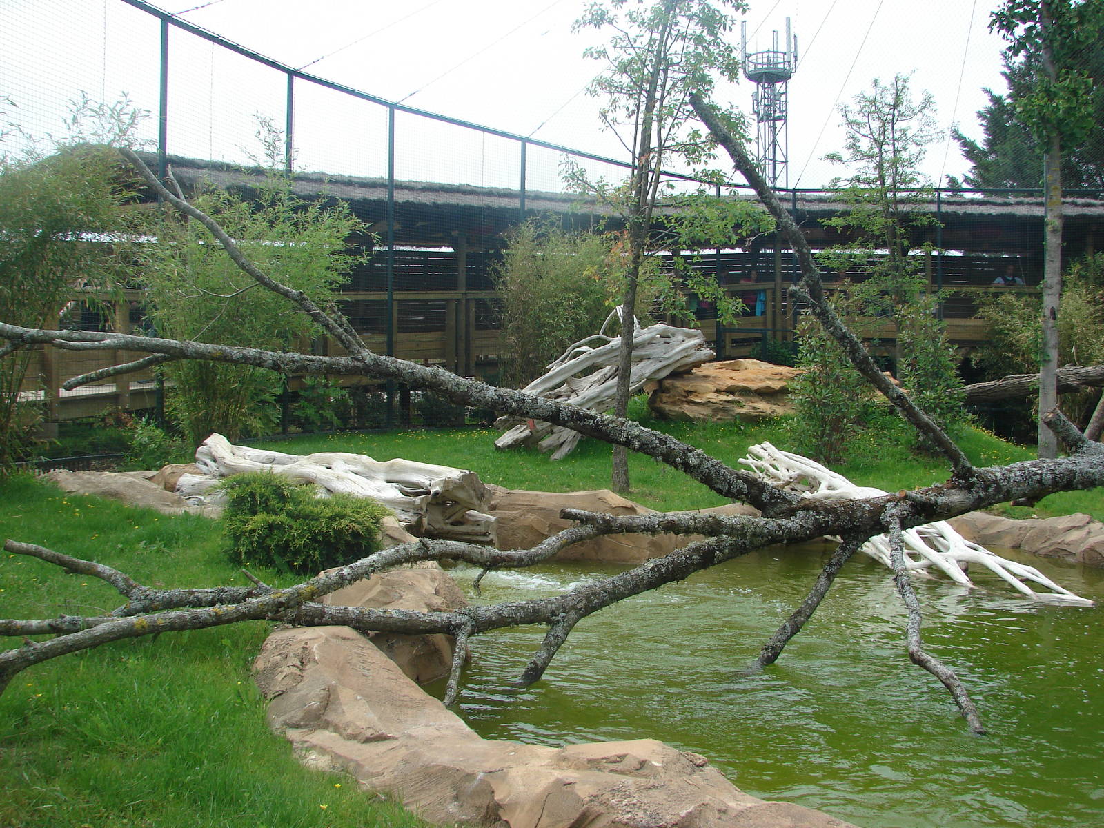 New chinese area - Snow leopard exhibit