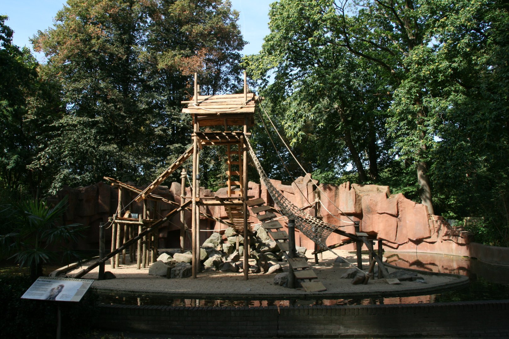 New climbing frame in the Barbary macaque enclosure