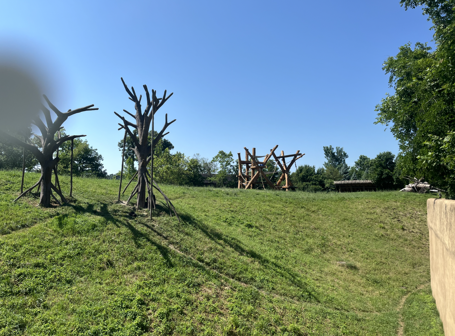 New Climbing Structure in Chimpanzee Habitat - July 2025