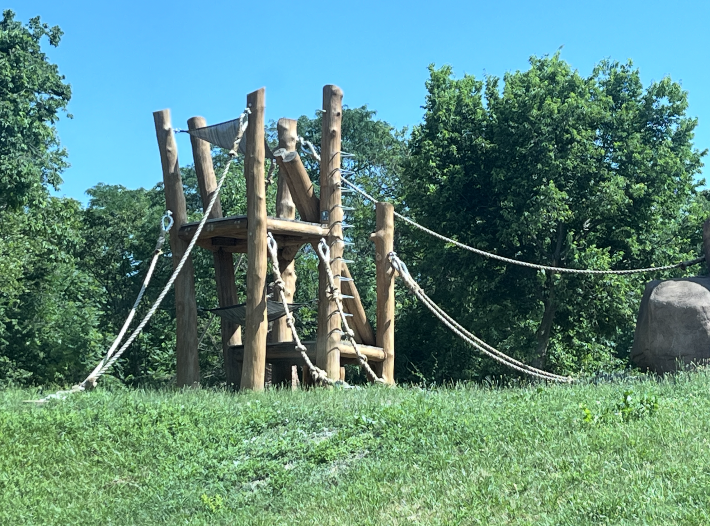 New Climbing Structure in Gorilla Habitat - July 2025