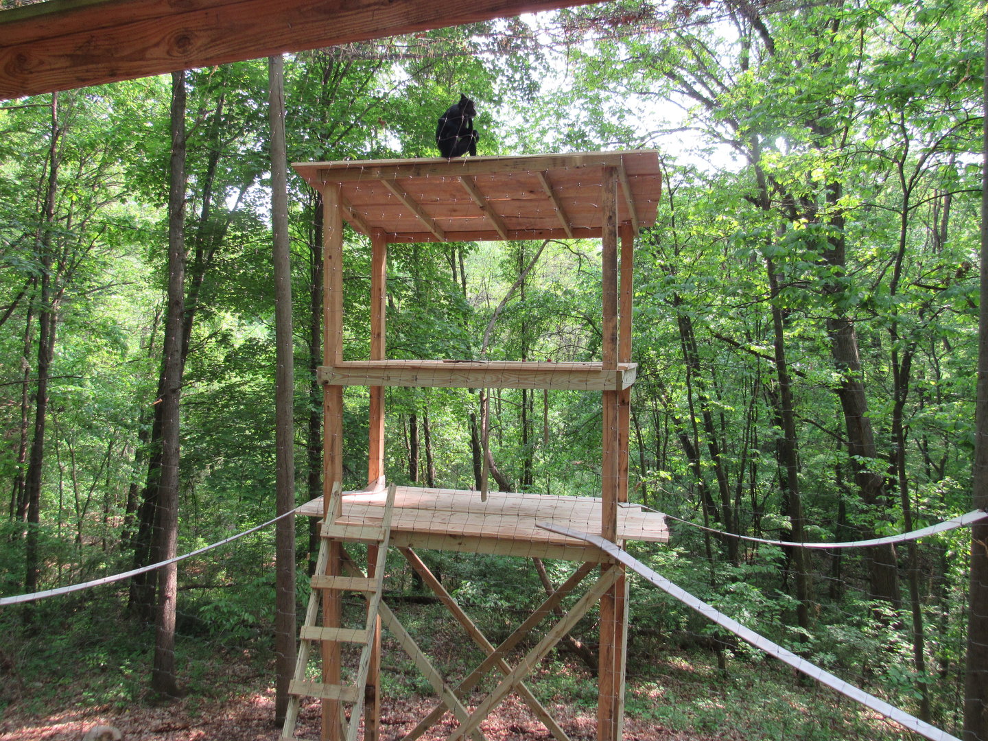 New Climbing Structures in Monkey Valley - 5/22/23