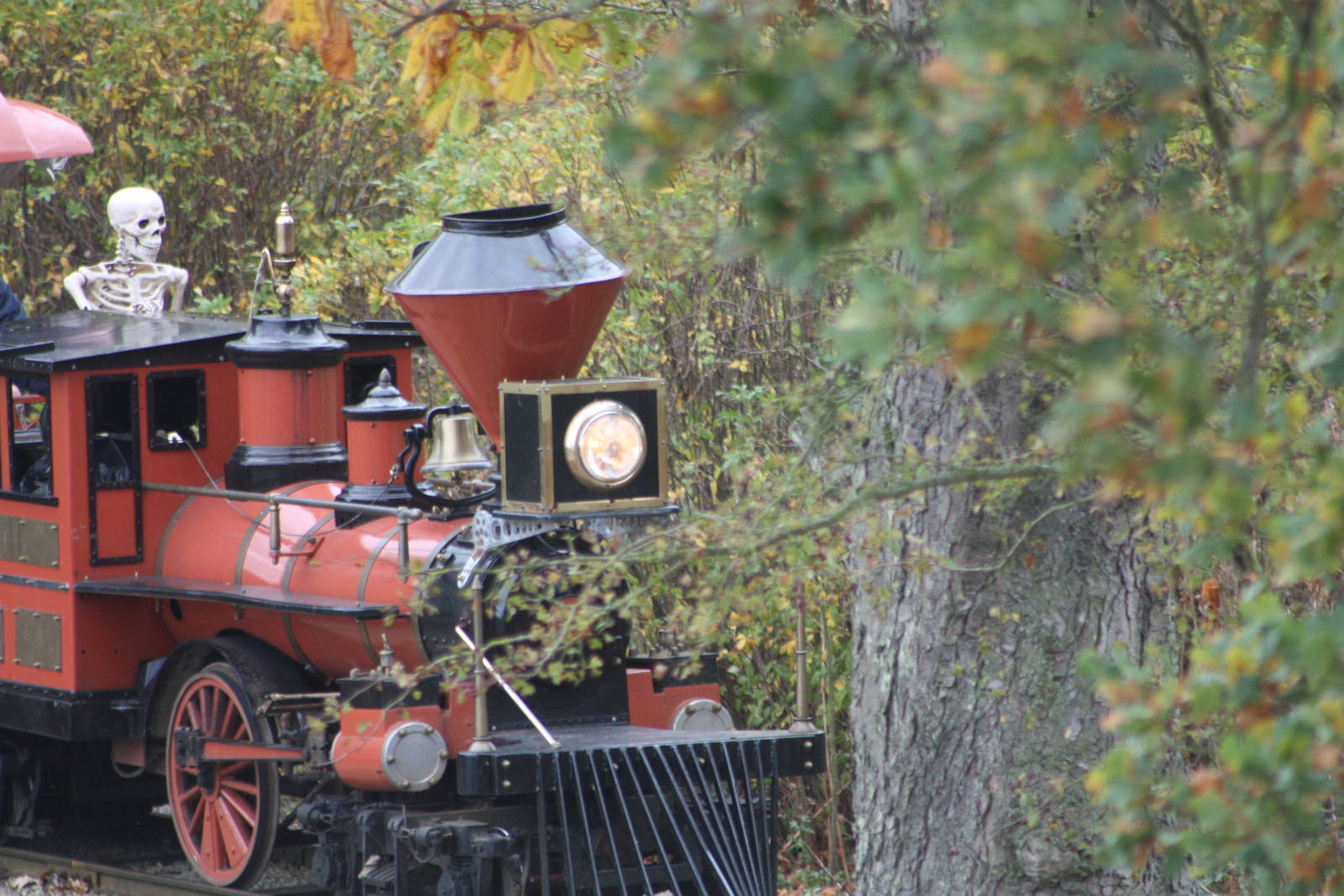 New co-driver for the train, 27th October 2014