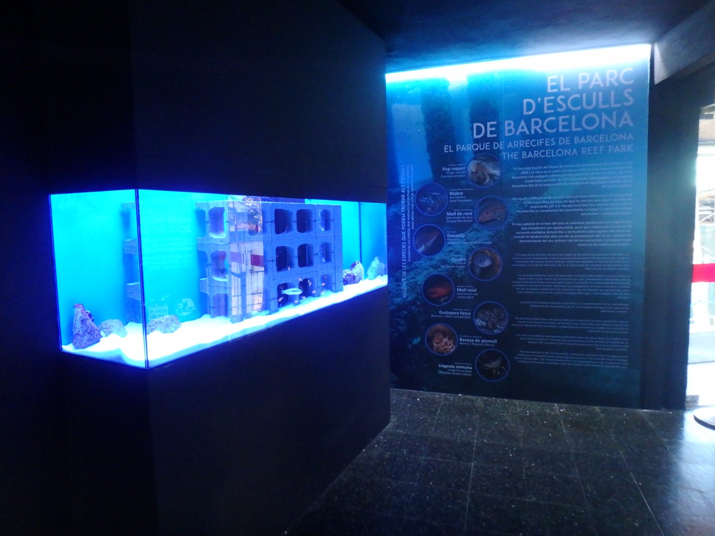 New coastal fish enclosure