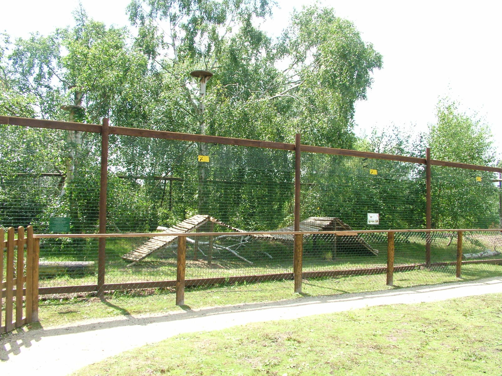 New coati enclosure at Wetlands WP 02/08/09