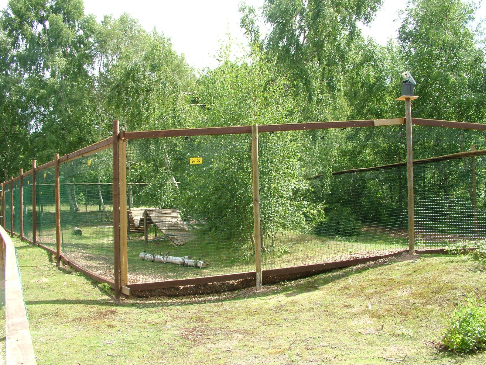 New coati enclosure at Wetlands WP 02/08/09