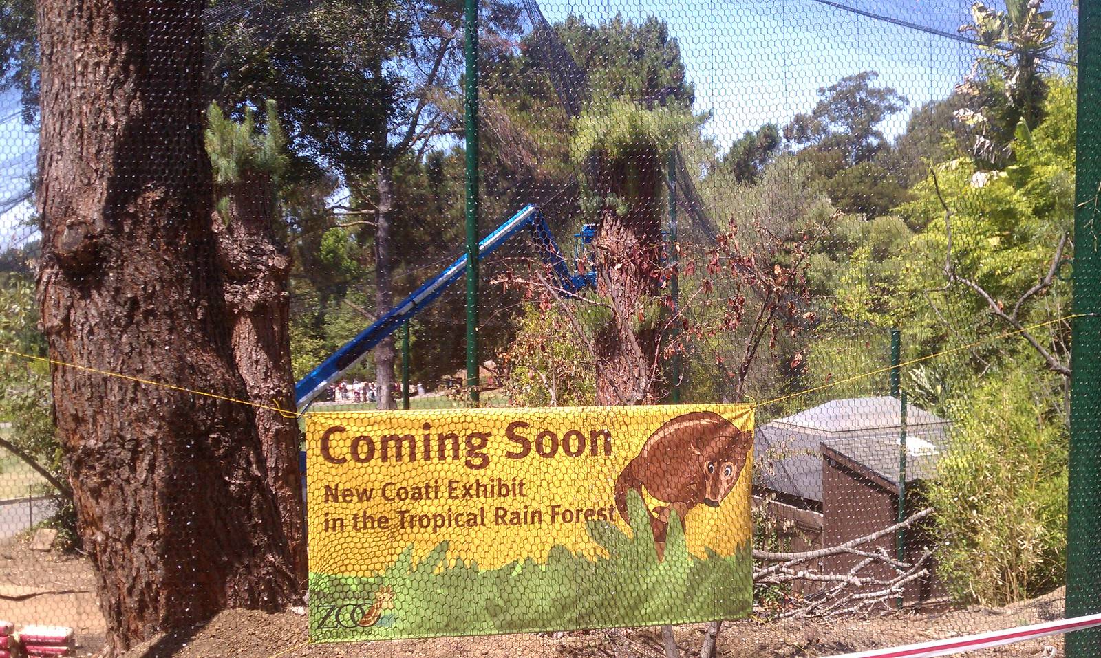 New Coati Exhibit #1