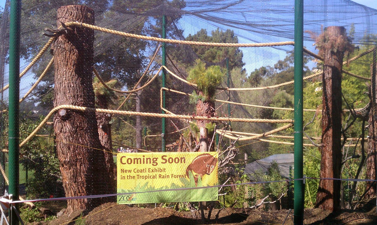 New Coati Exhibit #2