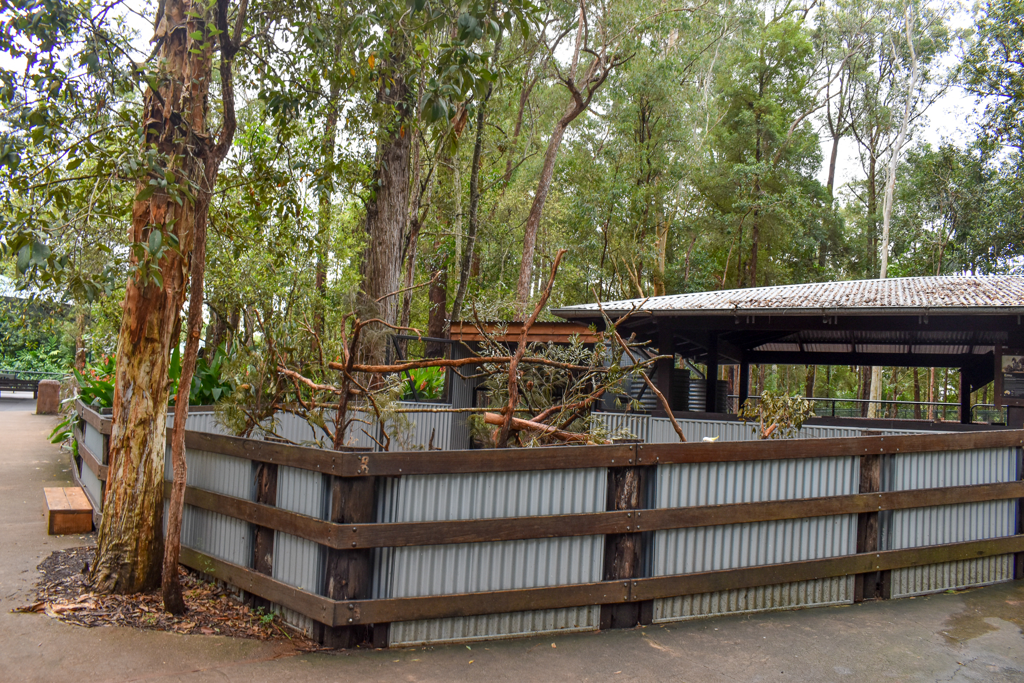 New Cockatoo Enclosure
