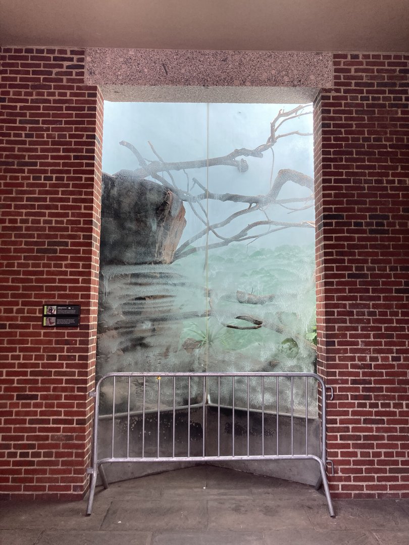 New- Collared Lemur Exhibit