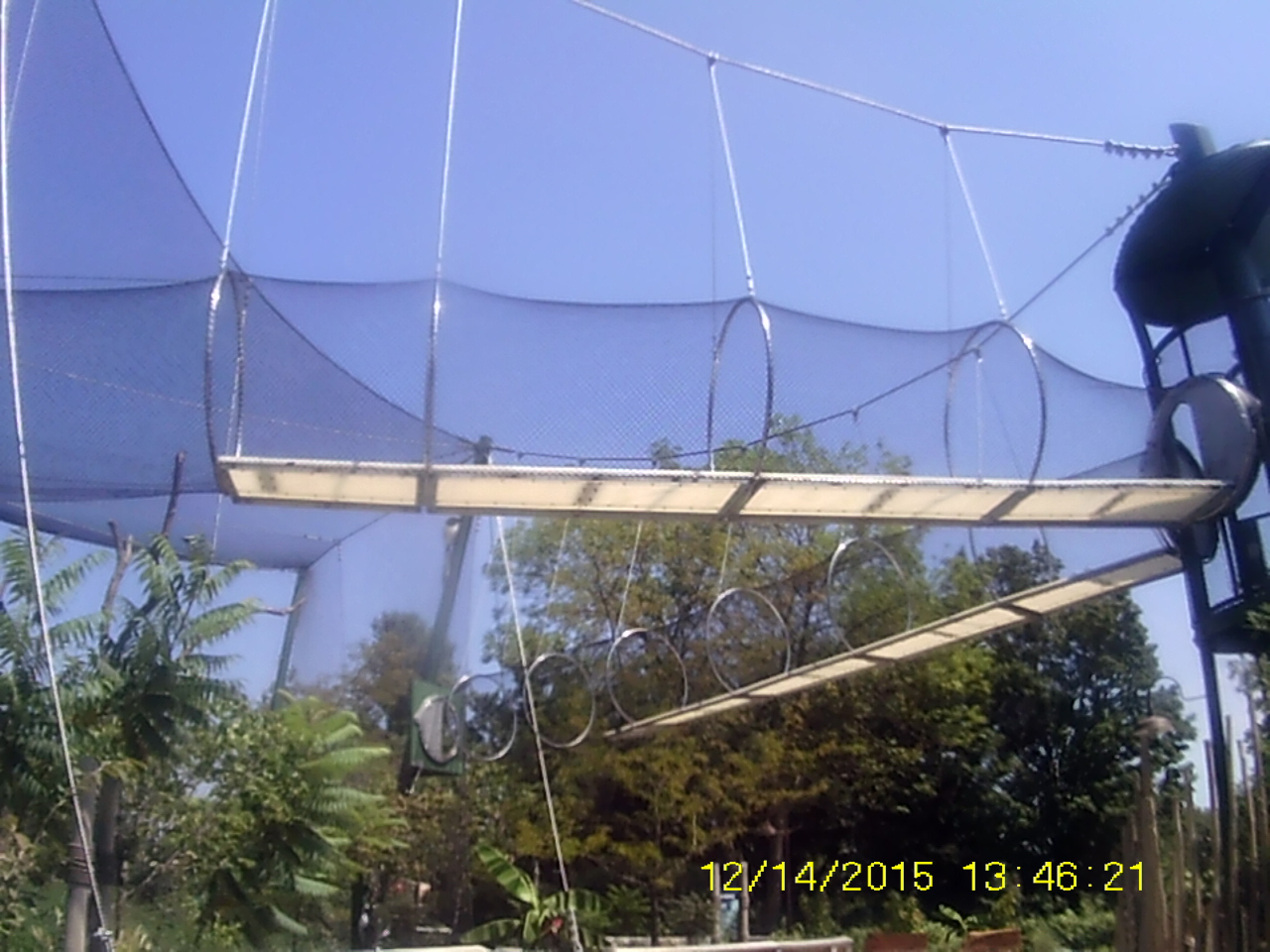 New! Colobus Crossing