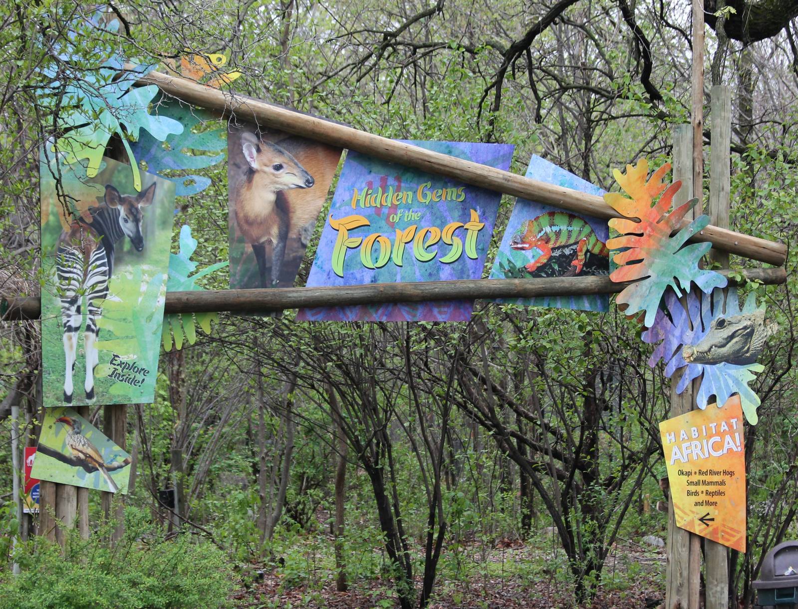 New colorful entrance to Habitat Africa! The Forest