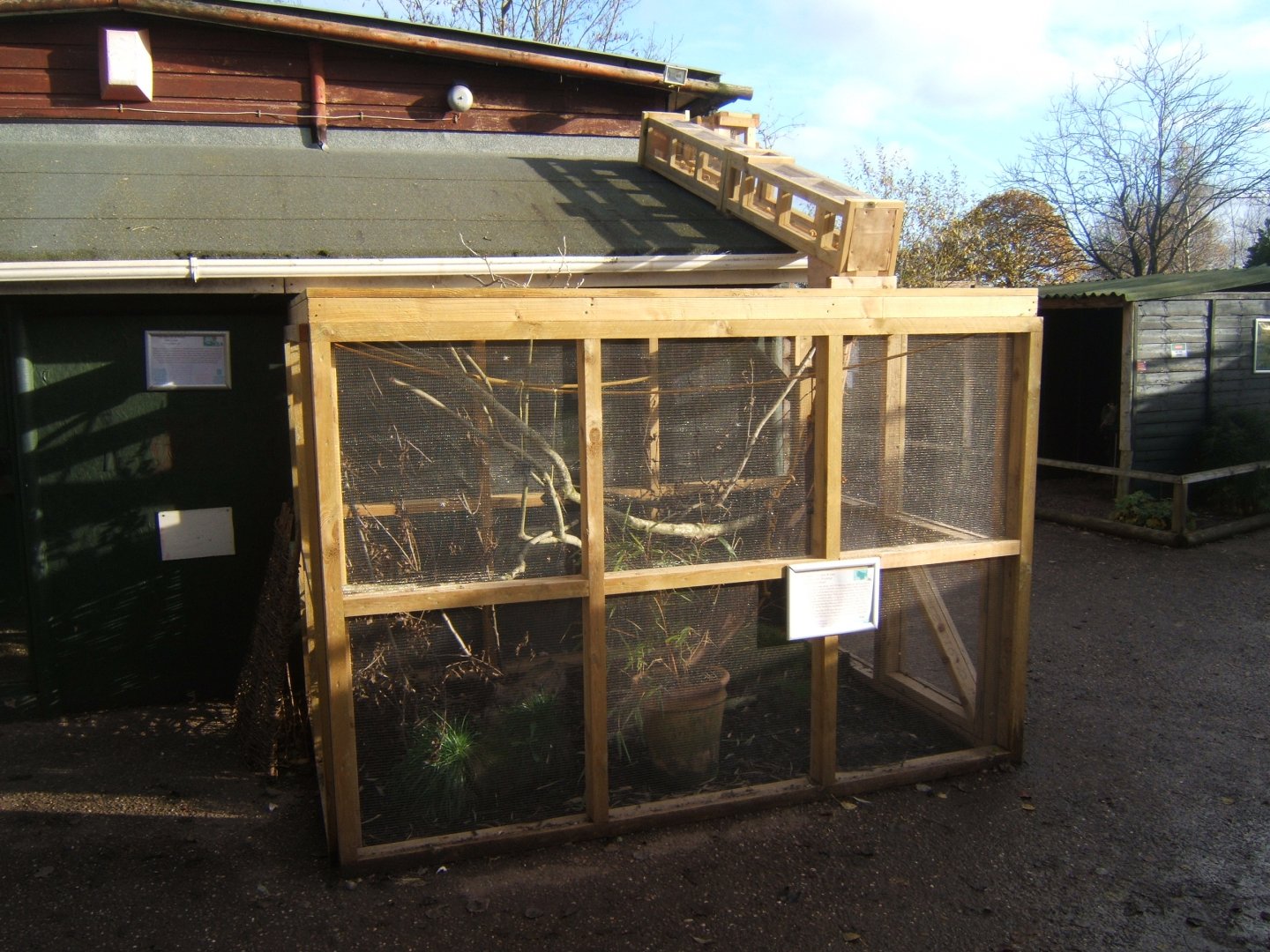 New Common Marmoset outdoor enclosure