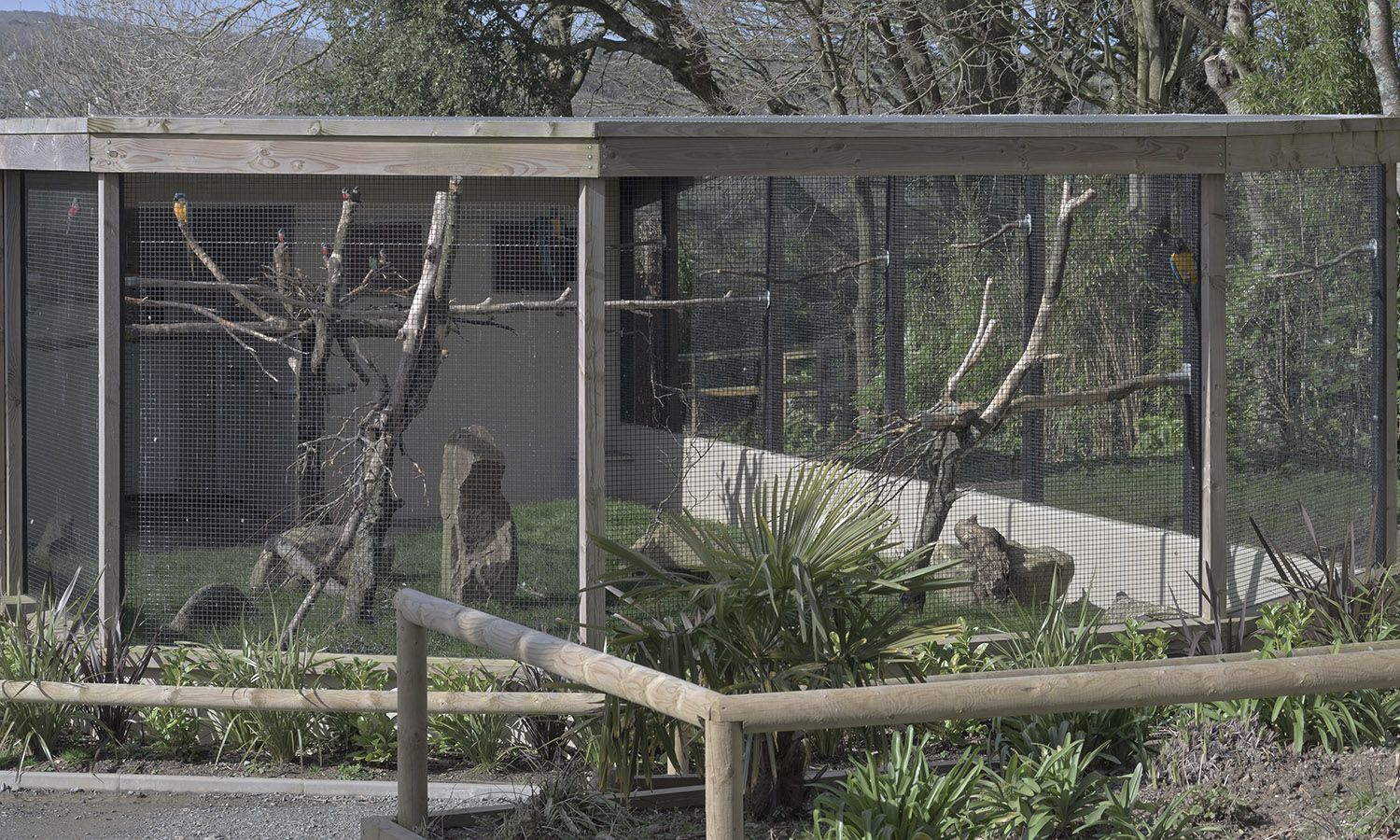 New community aviary