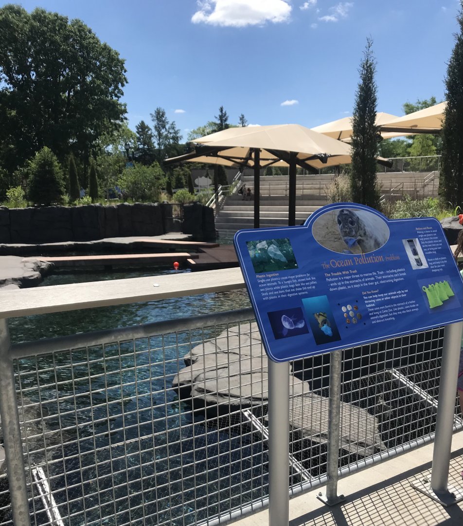 New Como Harbor- California sea lion/ Harbor seal exhibit #1