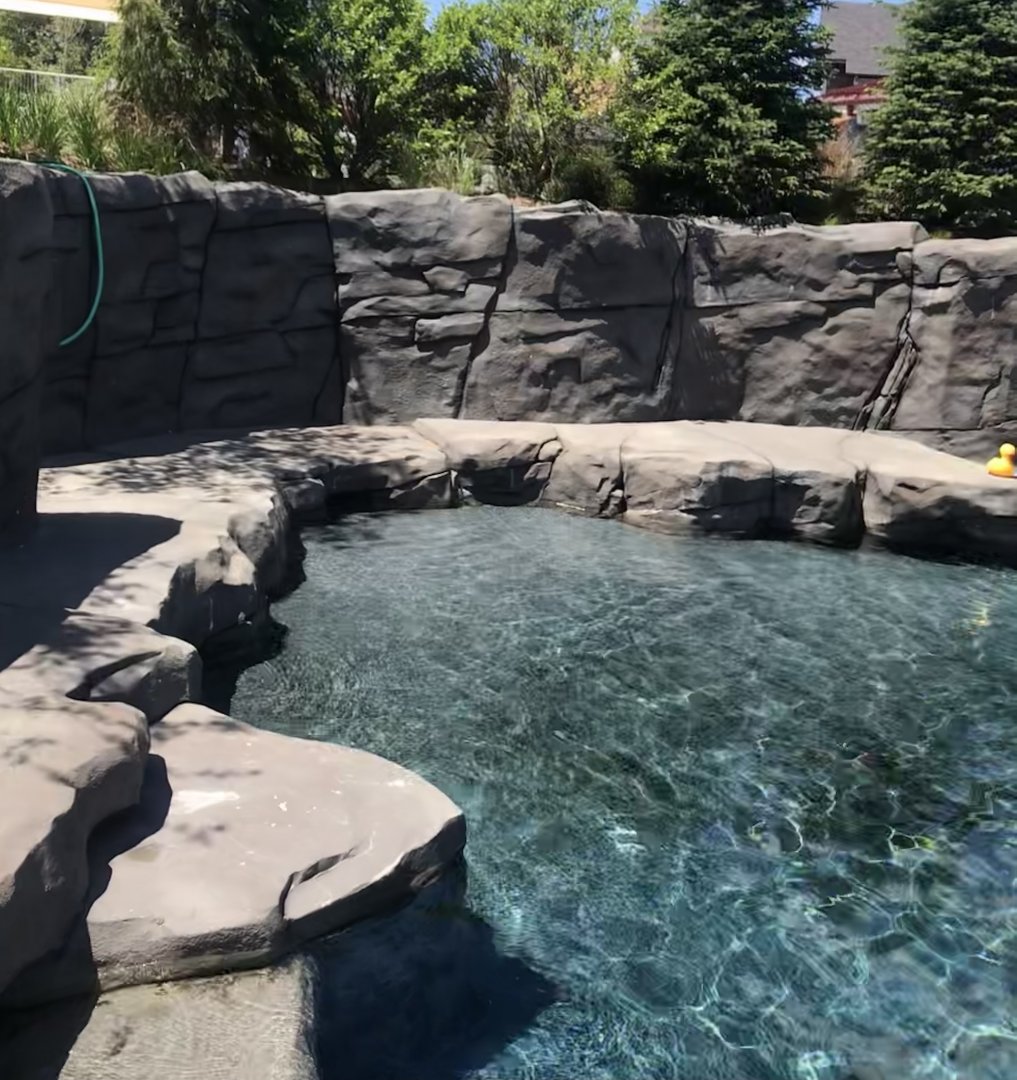 New Como Harbor- California sea lion/ Harbor seal exhibit #2