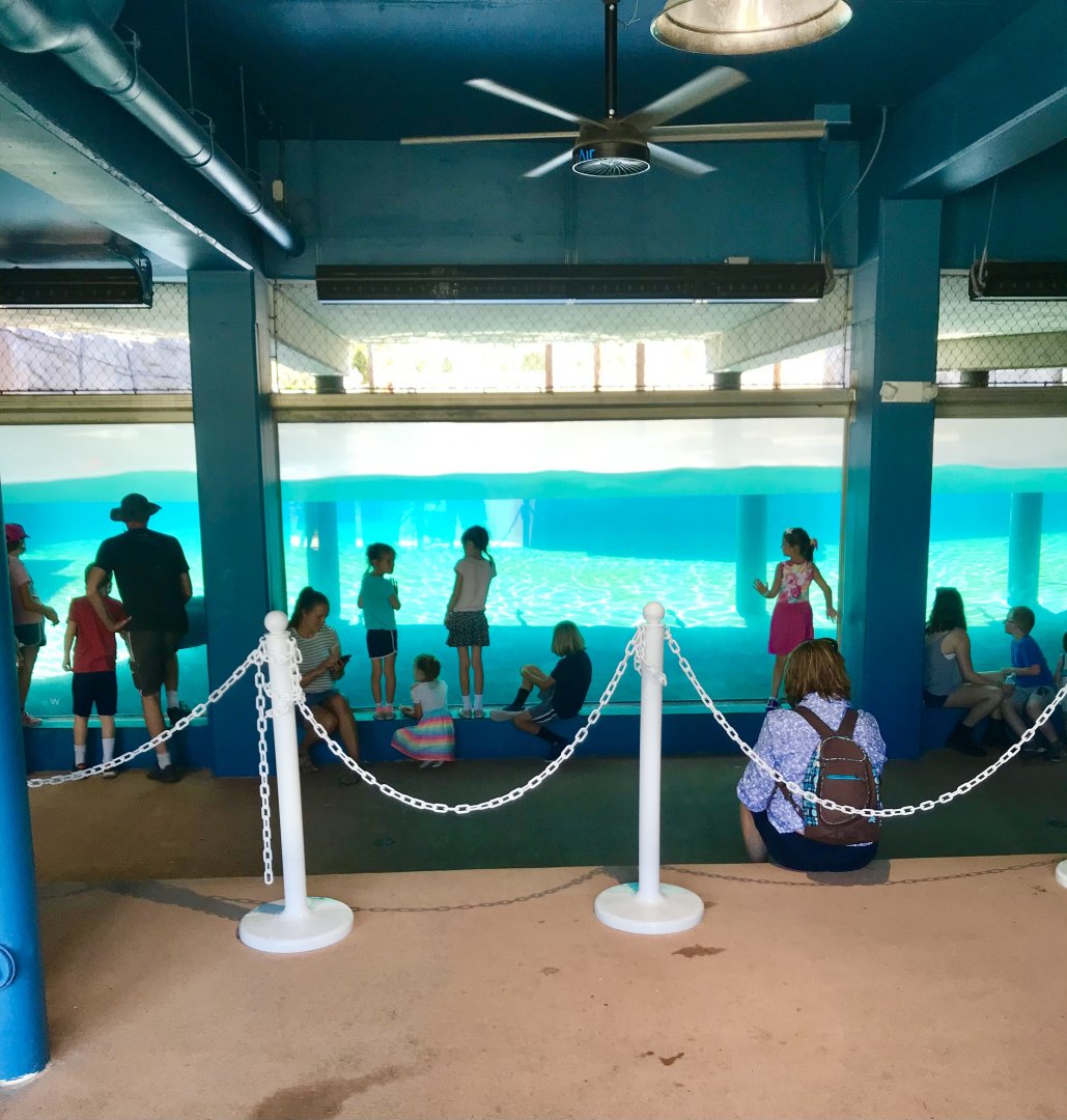 New Como Harbor- underwater viewing shelter