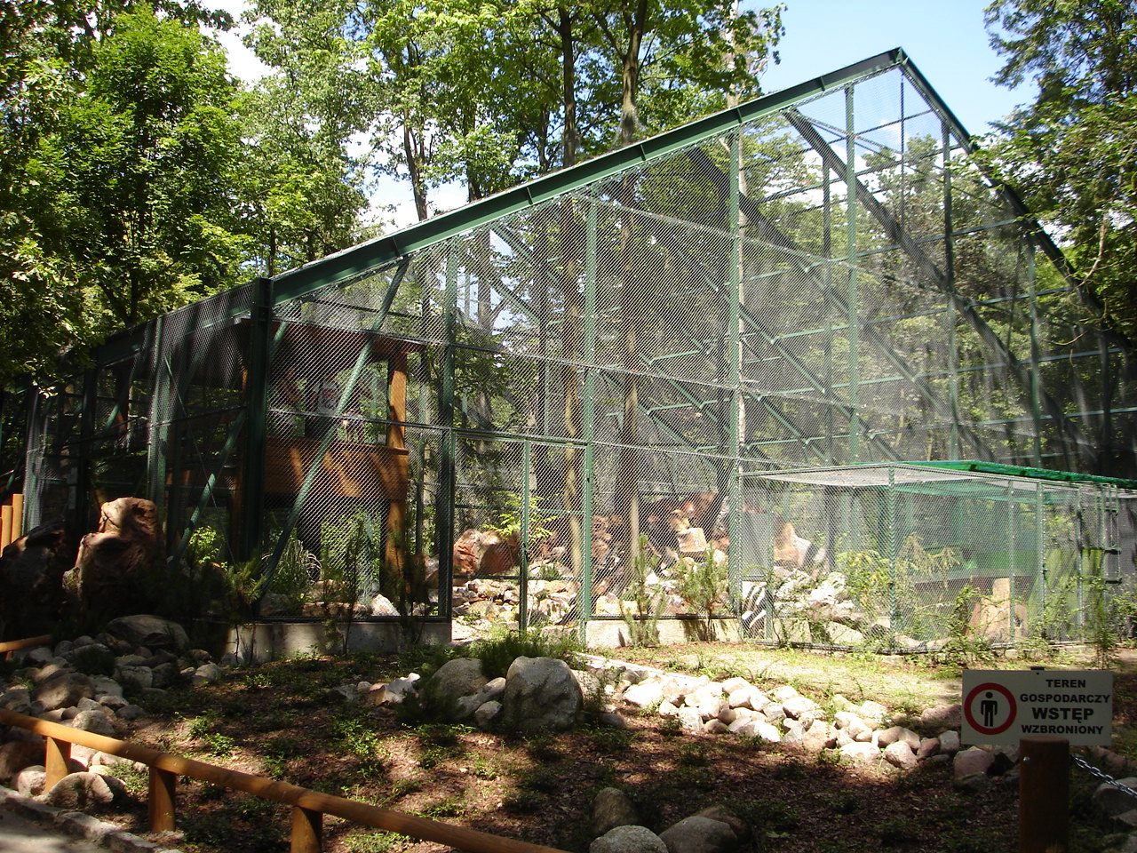 New complex exhibits for lynx, pallas cats and wildcats