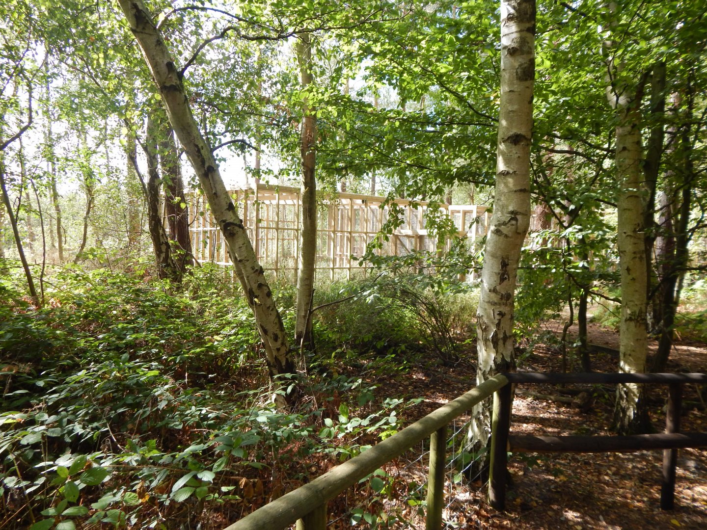 New construction 030924