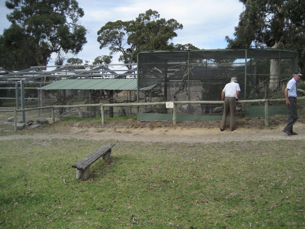 New construction and kookaburra aviary