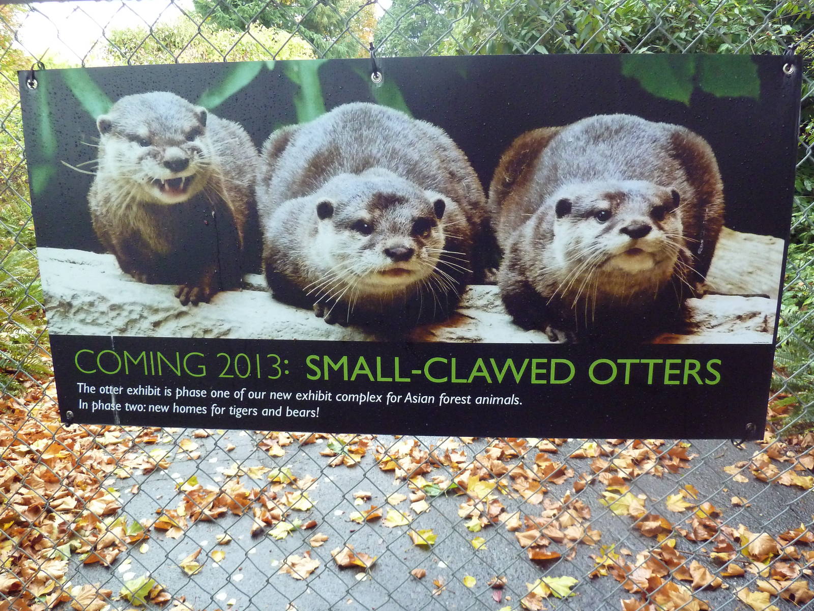 New Construction Signs