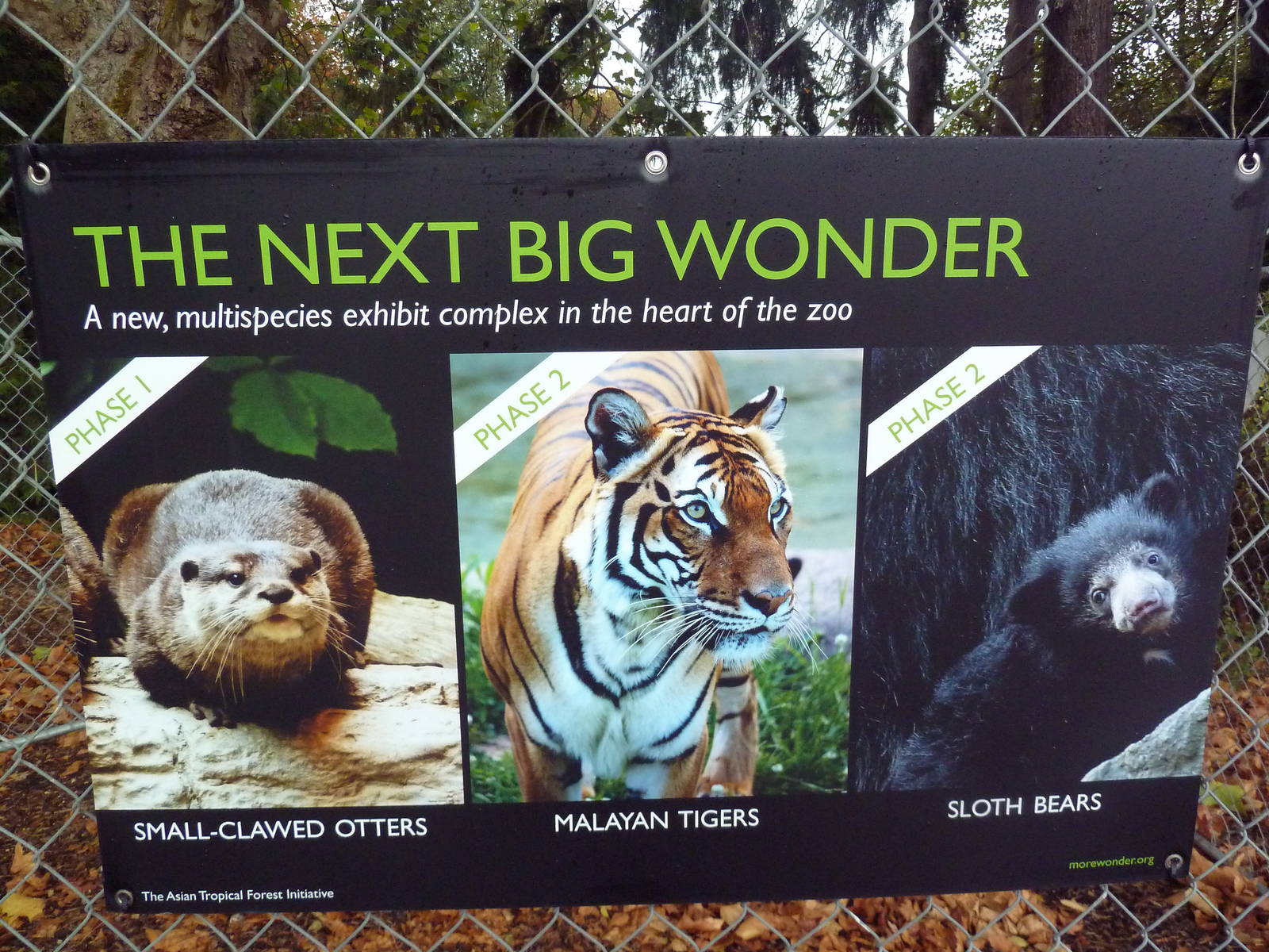 New Construction Signs