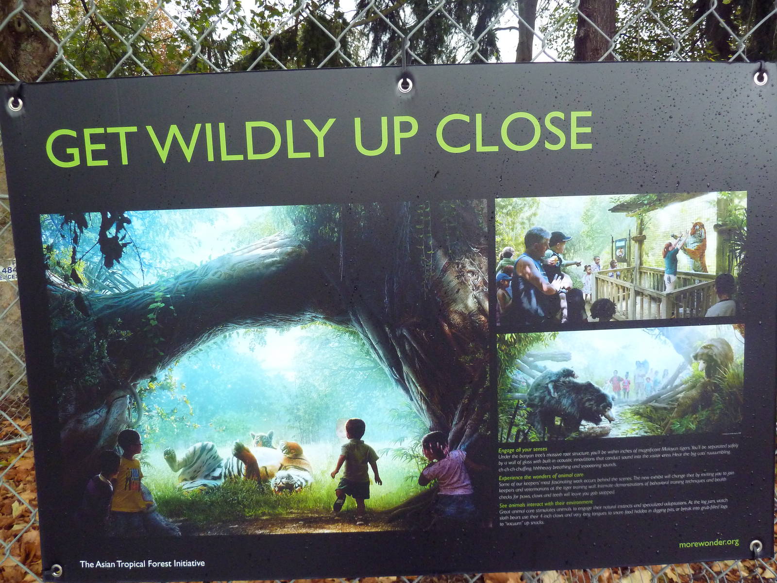 New Construction Signs