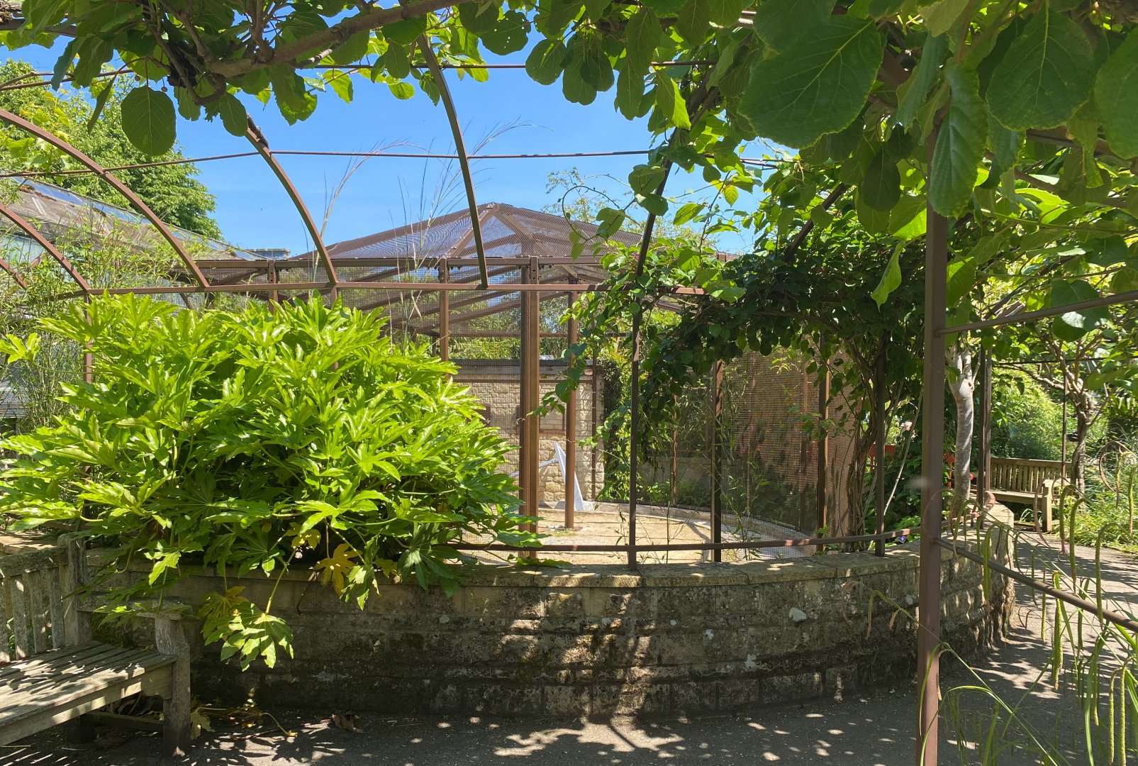 New construction, walled garden, CWP, UK