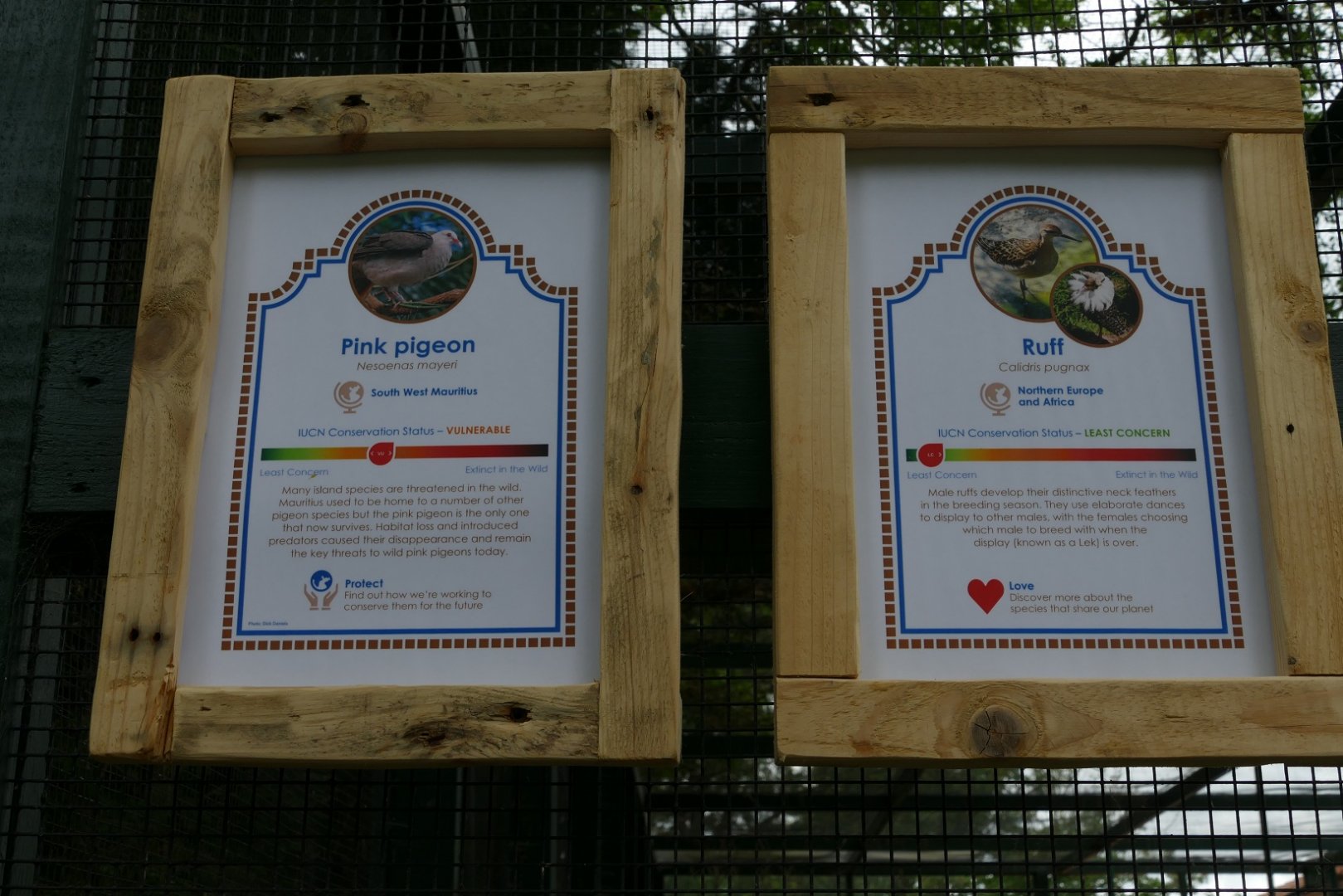 New Cottage Aviary signs, May 2019