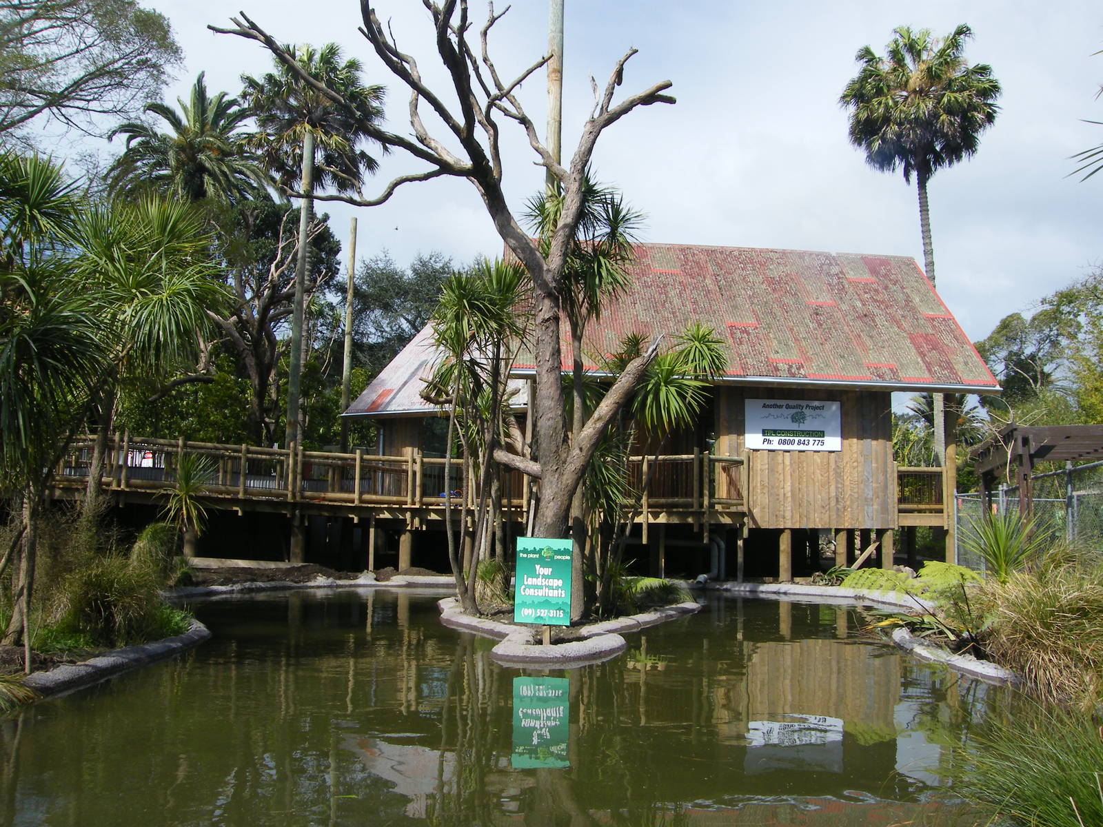 New Cotton-top enclosure